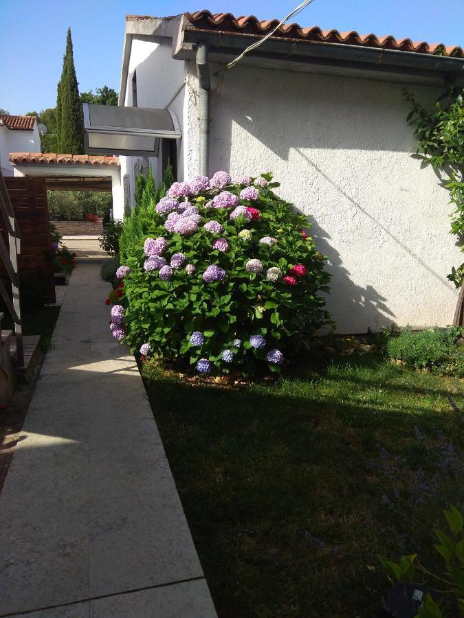 Apartment Nebo Poreč Eksteriør bilde